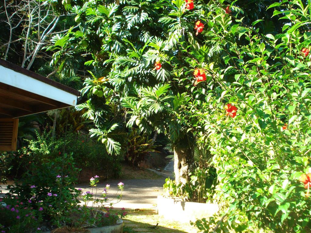 Cote Sud - Unique Villa & Bungalows Intendance Road Takamaka Rom bilde